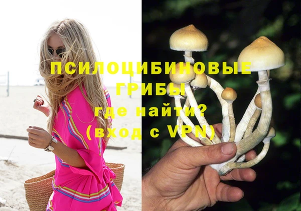 индика Приозерск