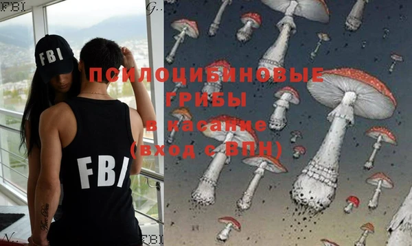 герыч Алексин